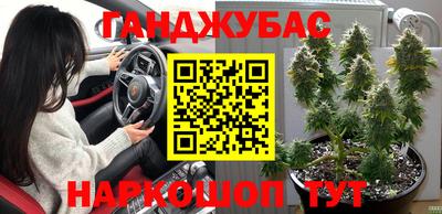 прущие грибы Краснокаменск